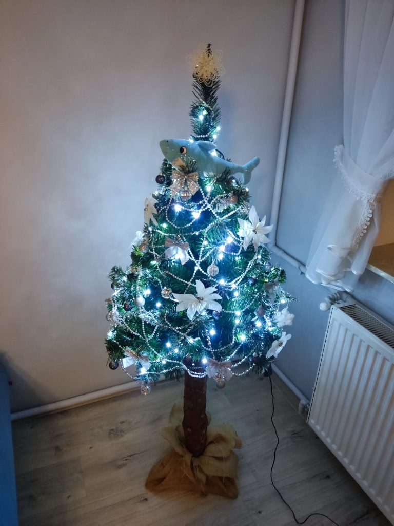 Grudzień 2021r. -Pierwsze święta razem